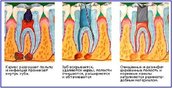 Тату латынью за русских Тату латынью за русских